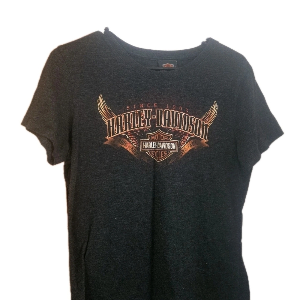 Harley-Davidson Dark Gray Tee with White Graphic